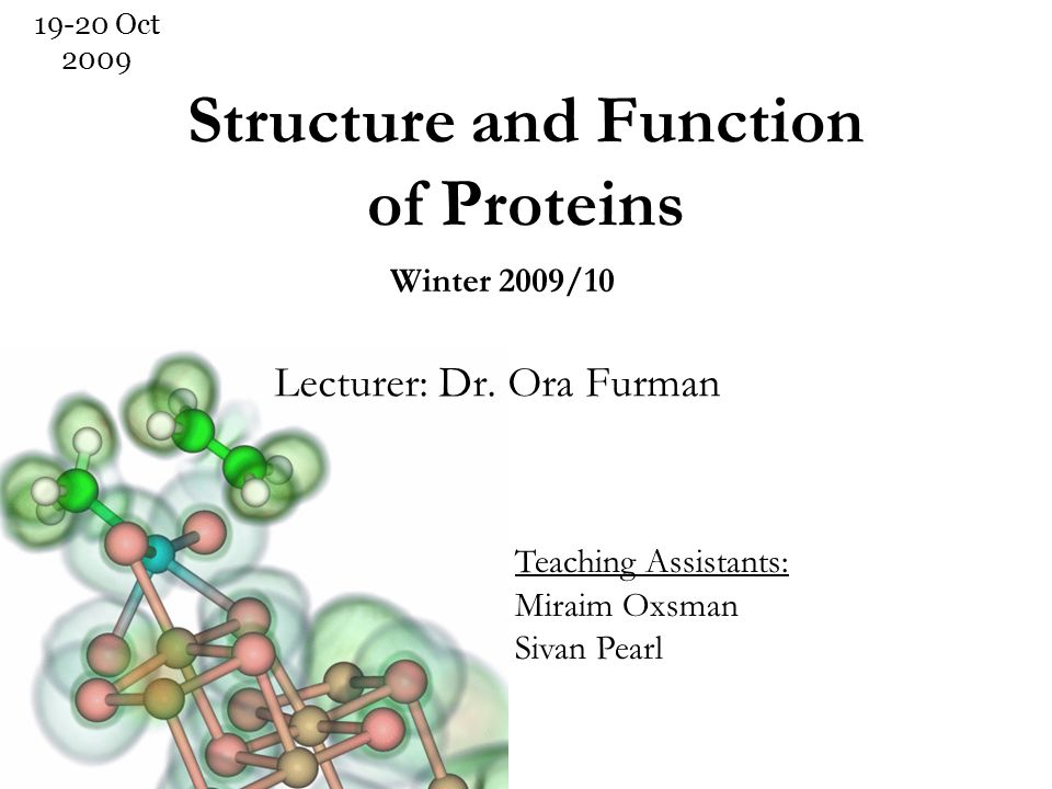 Structure and Function of Proteins Lecturer: Dr.