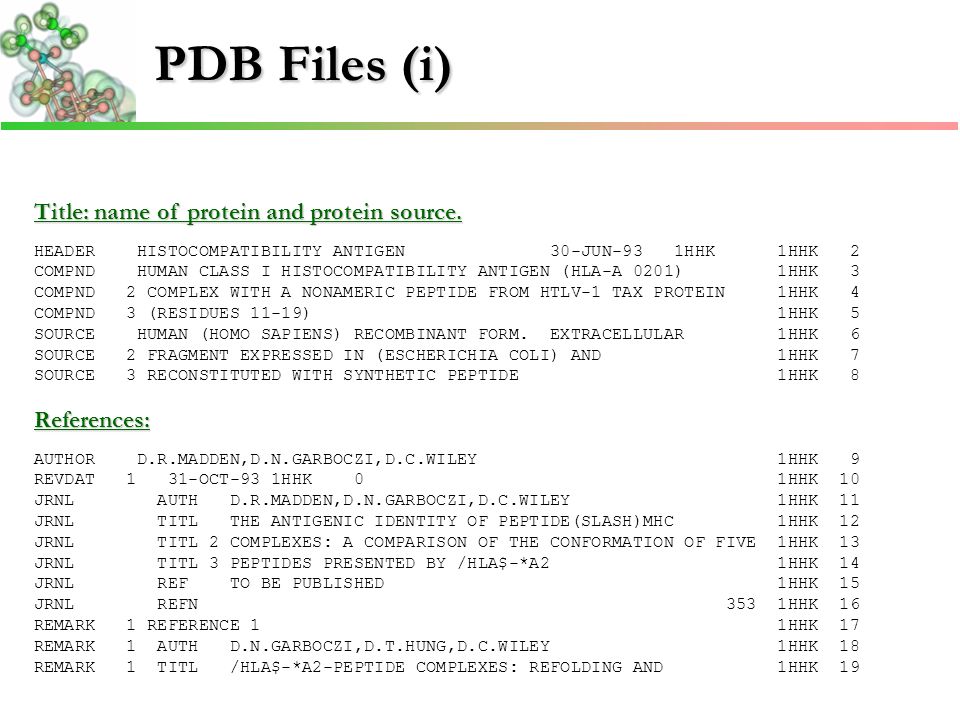 PDB Files (i) Title: name of protein and protein source.
