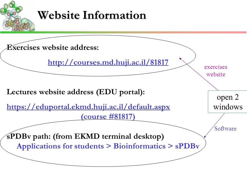 Website Information Exercises website address:   Lectures website address (EDU portal):   (course #81817) sPDBv path: (from EKMD terminal desktop) Applications for students > Bioinformatics > sPDBv open 2 windows Software exercises website