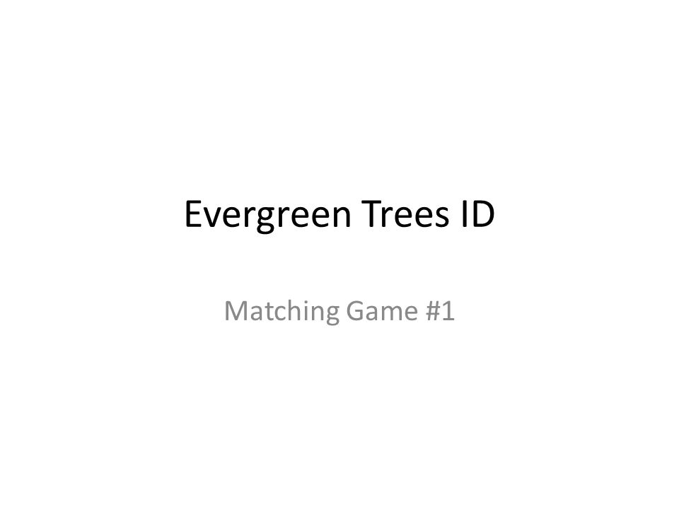 Evergreen Trees ID Matching Game #1