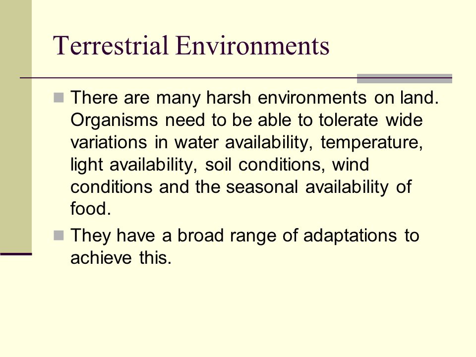 Terrestrial Environments There are many harsh environments on land.