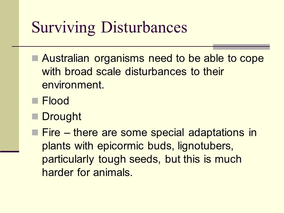 Surviving Disturbances Australian organisms need to be able to cope with broad scale disturbances to their environment.