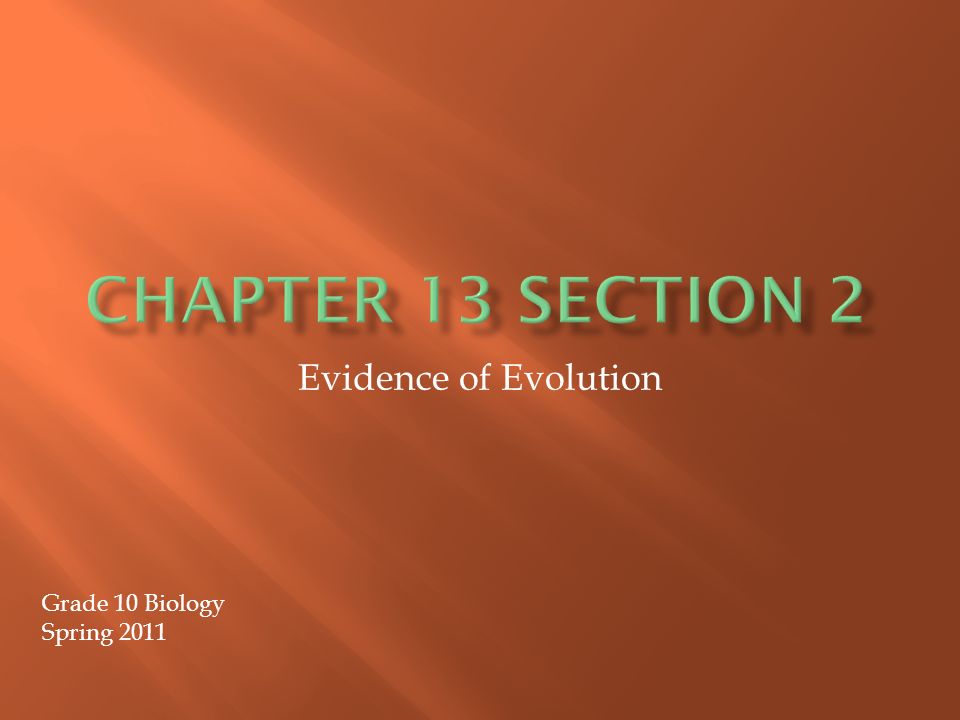 Evidence of Evolution Grade 10 Biology Spring 2011