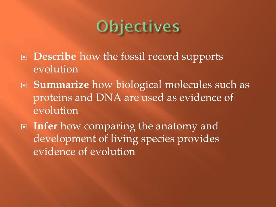  Describe how the fossil record supports evolution  Summarize how biological molecules such as proteins and DNA are used as evidence of evolution  Infer how comparing the anatomy and development of living species provides evidence of evolution
