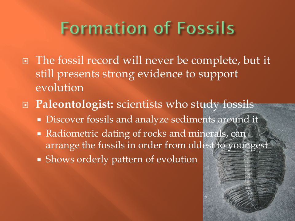 The fossil record will never be complete, but it still presents strong evidence to support evolution  Paleontologist: scientists who study fossils  Discover fossils and analyze sediments around it  Radiometric dating of rocks and minerals, can arrange the fossils in order from oldest to youngest  Shows orderly pattern of evolution
