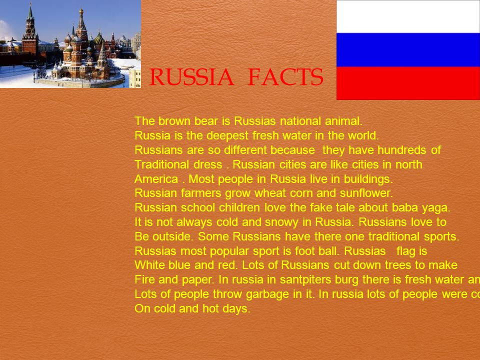 RUSSIA FACTS The brown bear is Russias national animal.