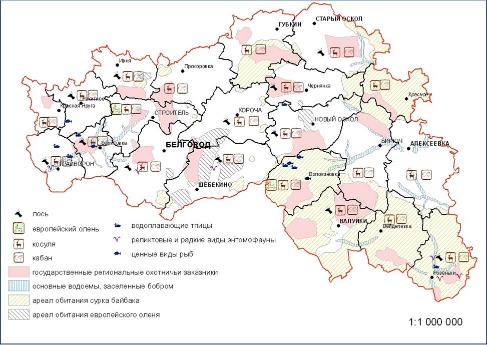 Подробная карта белгородской обл