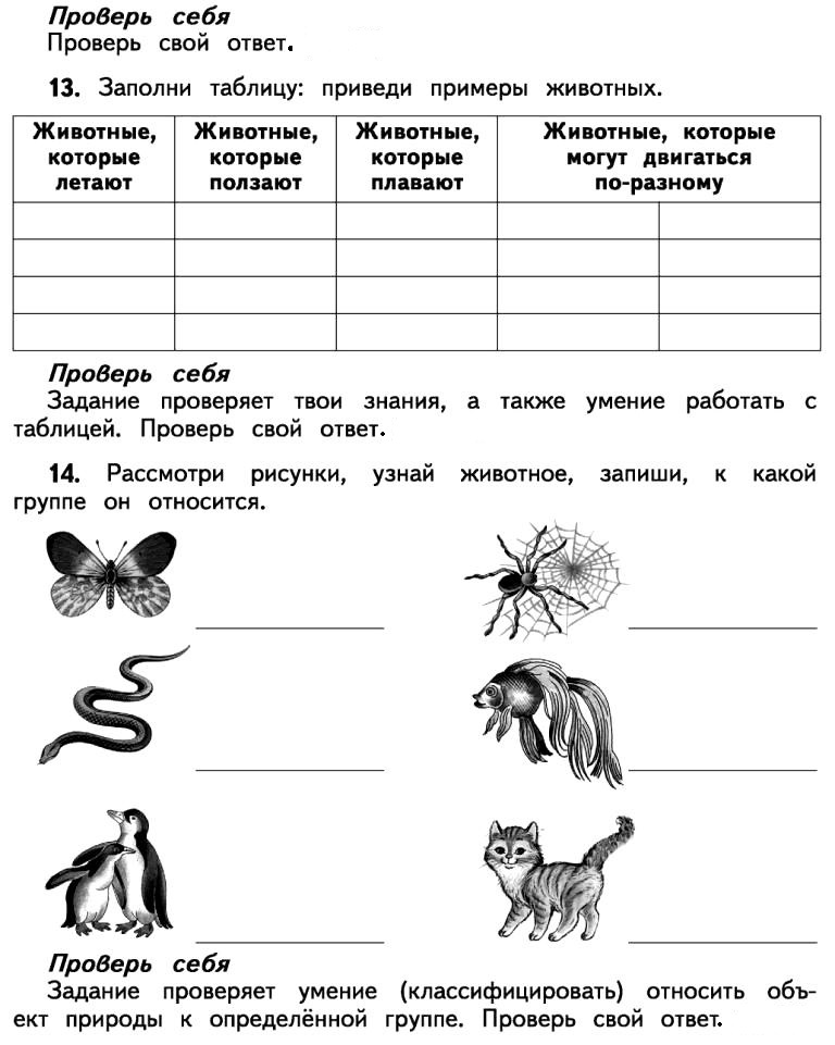 Контрольная работа природа и мы 4 класс. Задания по 4 классу по окружающему миру. Контрольная работа второй класс окружающий мир Живая природа. Живая и неживая природа 2 класс окружающий мир проверочная работа. Проверочная работа окружающий мир 4 класс животные.