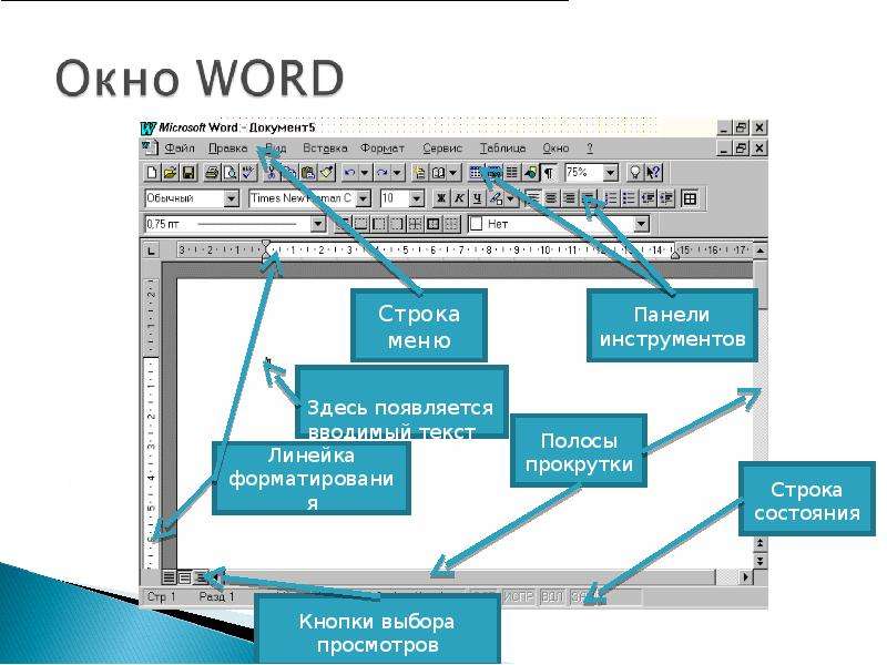 Word c официального сайта. Текстовый процессор Microsoft Office Word. Текстовый процессор MS Word презентация. Microsoft Office Word функции. Текстовый редактор MS Word. Возможности MS Word..