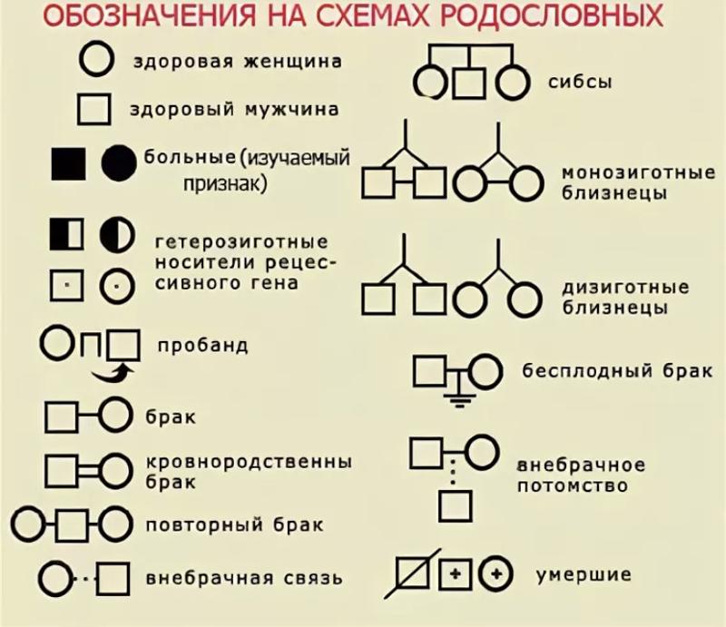 Генеалогический. Родословная генетика пробанд. Родословная по генетике условные обозначения. Обозначения в родословной генетика. Родословные схемы по генетике обозначение.