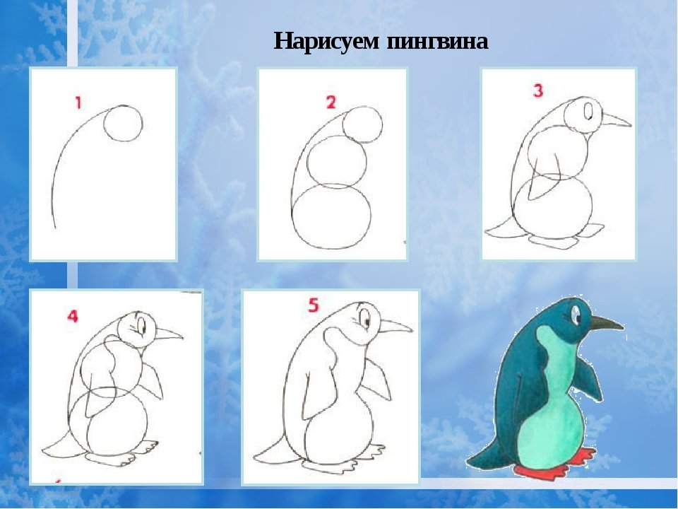 Рисуем 3 класс 3 четверть. Рисование 3 класс. Поэтапное рисование пингвина. Рисование 4 класс. Рисование 1 класс школа России.