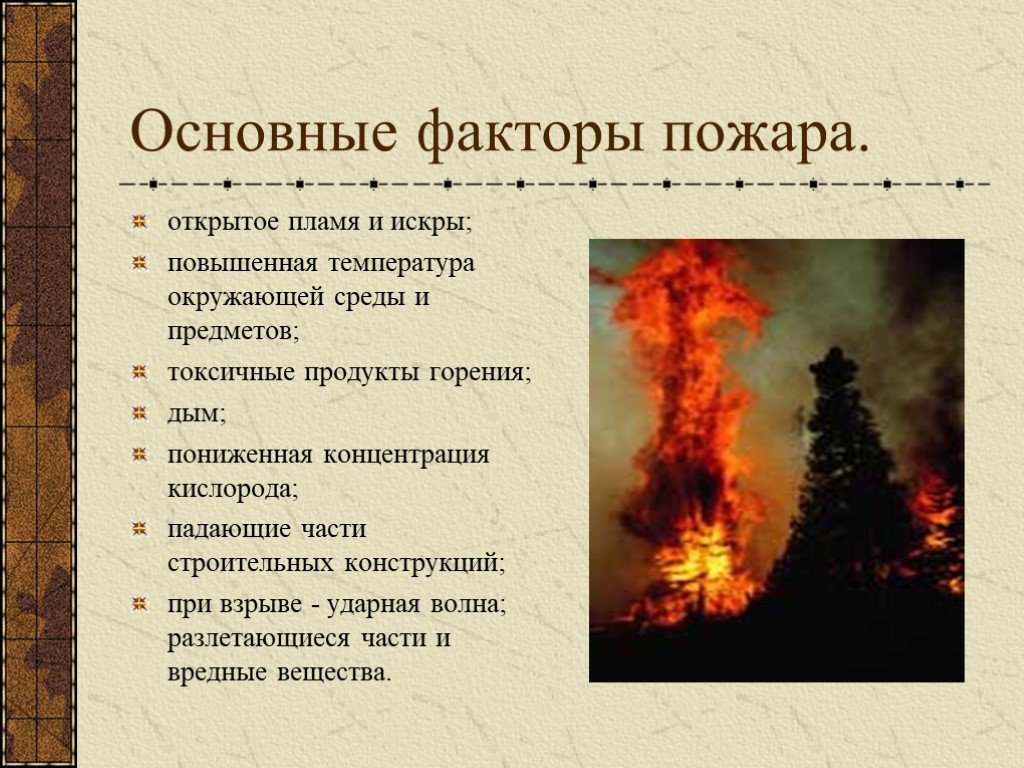Природные пожары кратко. Основные факторы пожара. Опасные факторы пожара. Основные причины пожаров. Основные факты пожара.