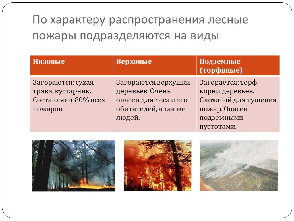 Лесной пожар относится к биологически опасным явлениям. Классификация лесных и торфяных пожаров. Классификация природных пожаров по характеру горения Лесной. Классификация природных пожаров схема. Классификация природных пожаров по интенсивности горения.