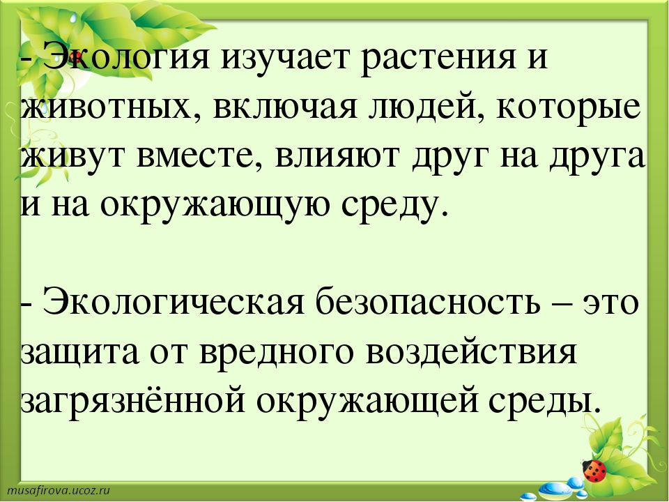 Запиши в словарик экологическая безопасность бытовой фильтр. Что такое экология 3 класс. Экология презентация 3 класс. Экология доклад 3 класс окружающий мир. Что такое экология 3 класс окружающий мир.