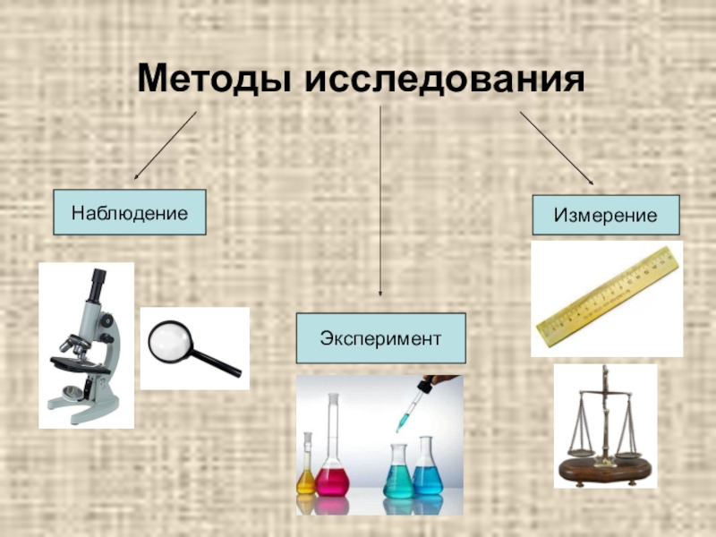 Виды наблюдения эксперимент. Методы биологических исследований измерение. Методы исследования в биологии 5. Методы исследования в биологии 5 класс наблюдение. Наблюдение эксперимент измерение.