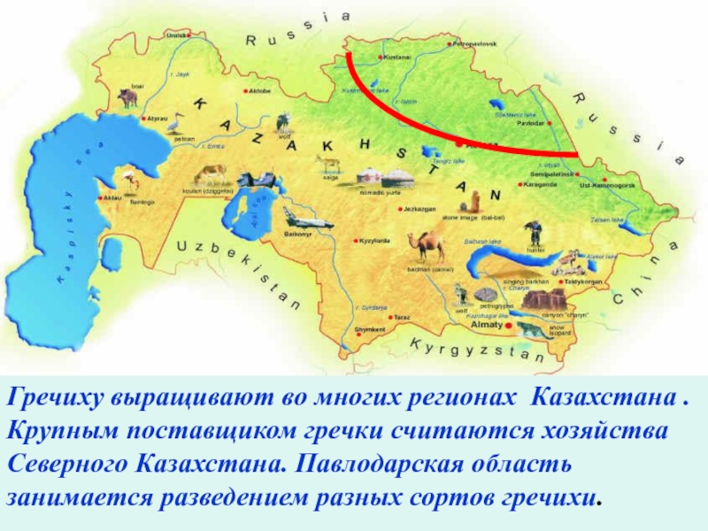 Презентация по географии 7 класс казахстан