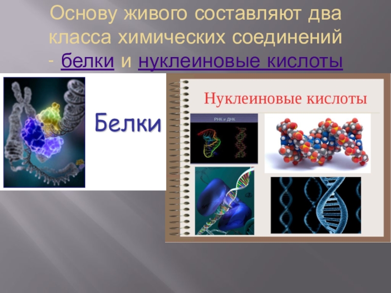 Тема проектов по биологии 9 класс