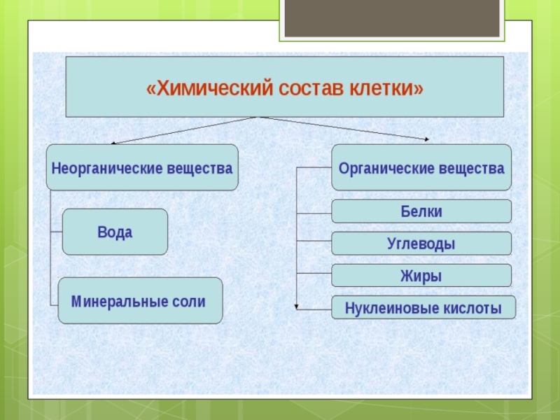 Неорганические соединения тест