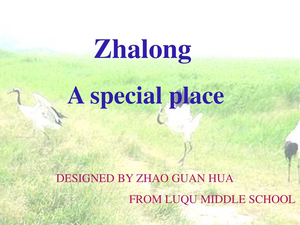 Zhalong A special place DESIGNED BY ZHAO GUAN HUA