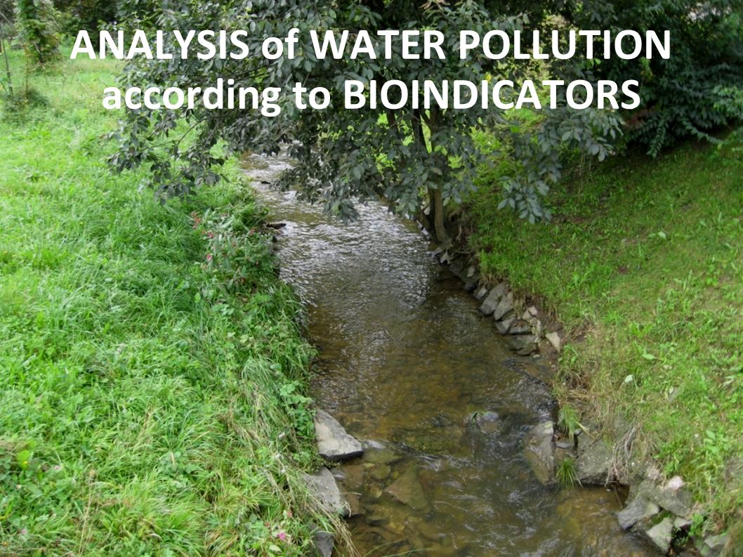 ANALYSIS of WATER POLLUTION according to BIOINDICATORS
