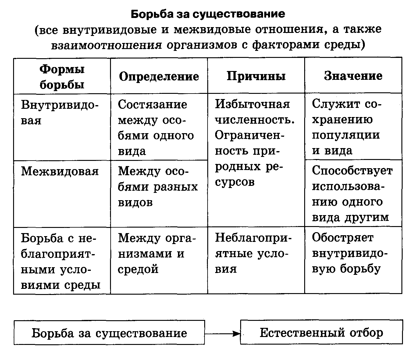 Представьте в виде схемы формы борьбы за существование