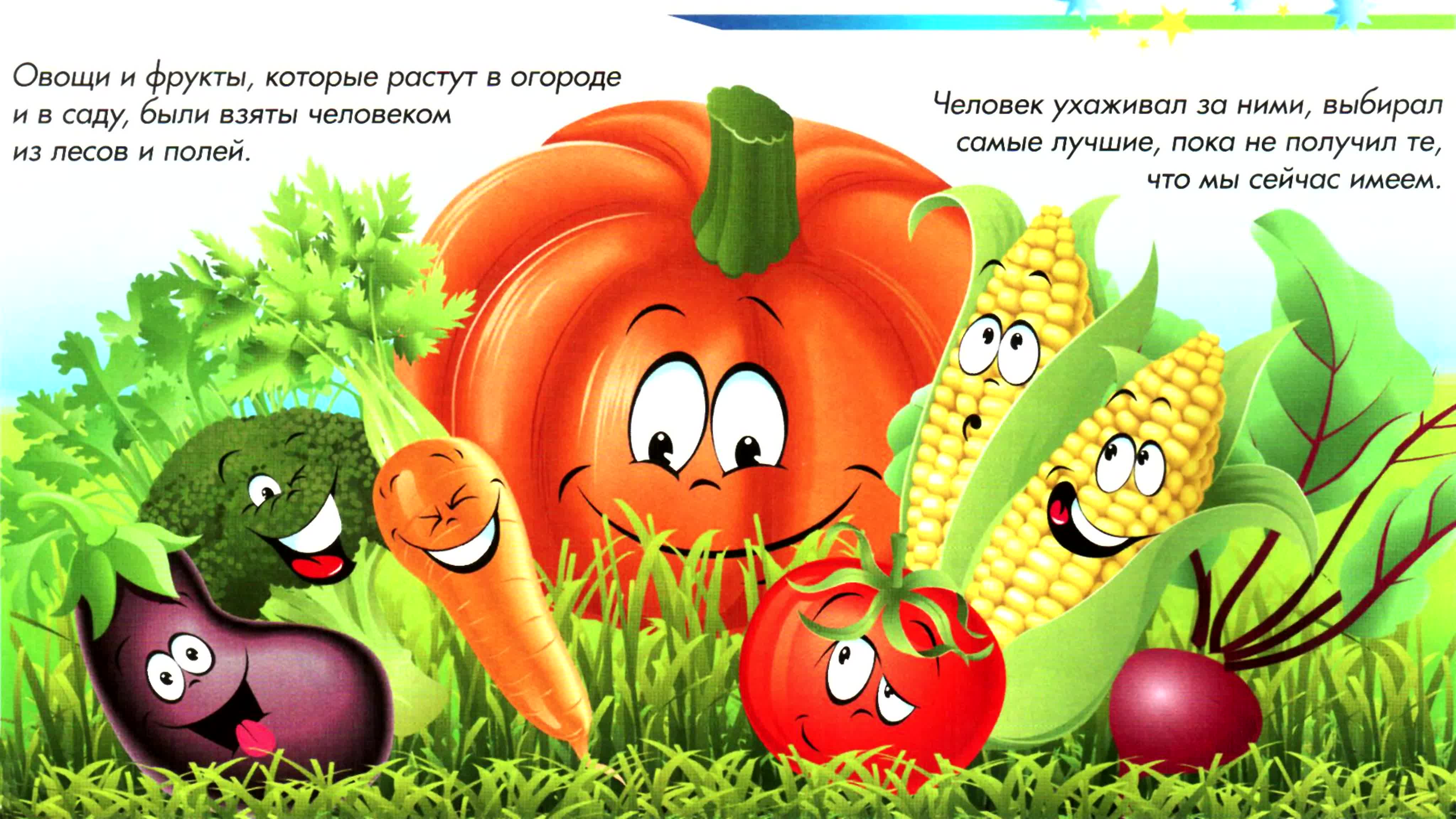 Сказки про овощи и фрукты