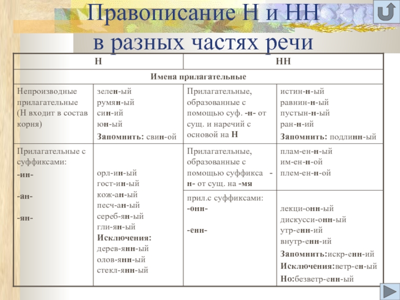 Правописание н нн в разных частях речи презентация