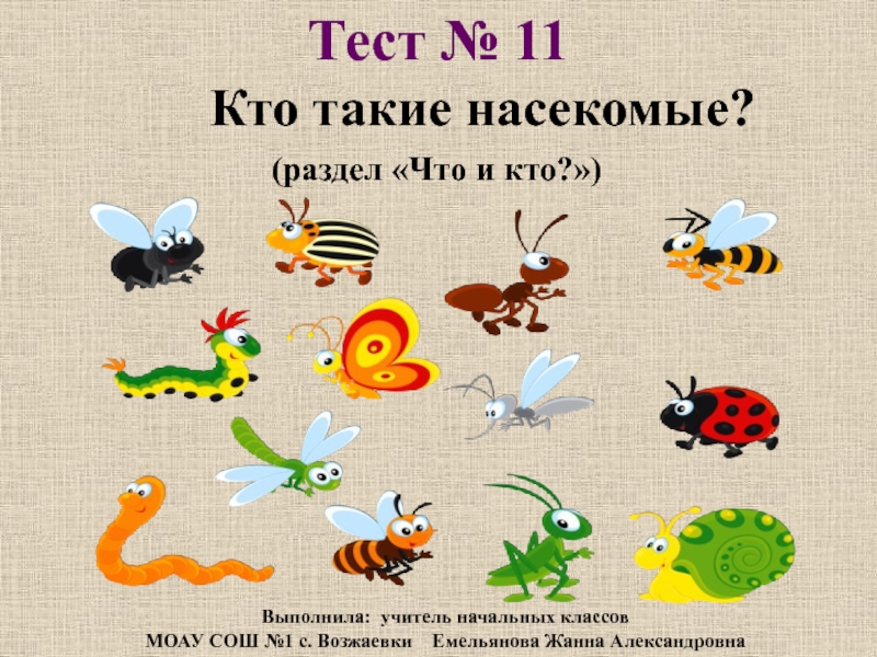 Насекомые урок 1 классе. Кто такие насекомые. Насекомые 1 класс. Презентация для детей тема насекомые. Кто такие насекомые 1 класс.