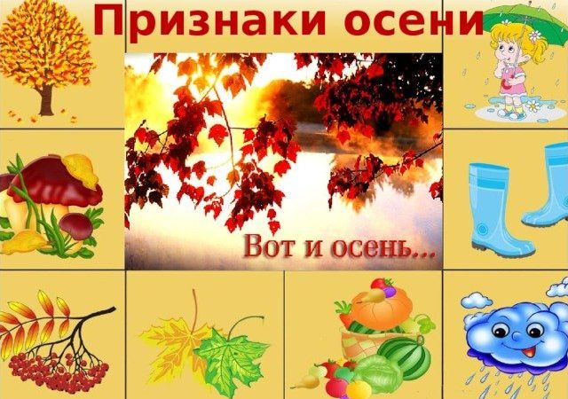 Признаки осень картинки для детей – Картинки для детей про признаки осени (21 фото) ⭐ Забавник