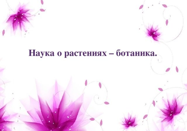 Урок биологии 6 класс ботаника наука о растениях – Конспект и презентация к уроку биологии 6 класс. Наука о растениях