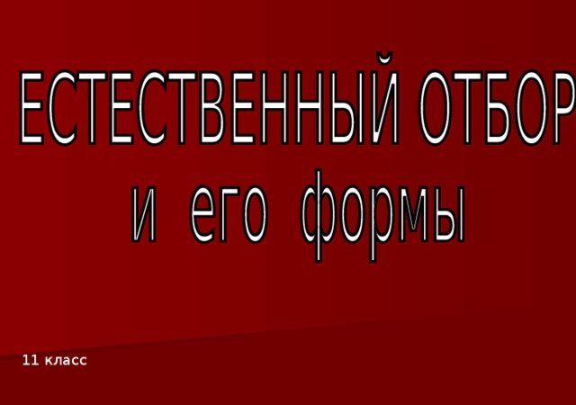 Естественный отбор презентация 11 класс – Презентация к уроку по биологии (11 класс) на тему: Естественный отбор и его формы.