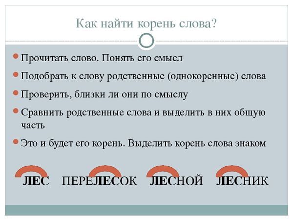 Форма слова 2 класс – Форма слова в русском языке – что такое, примеры (2 класс)