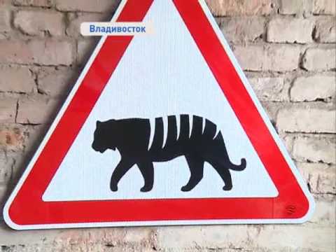 Несуществующий дорожный знак – Самые необычные дорожные знаки мира