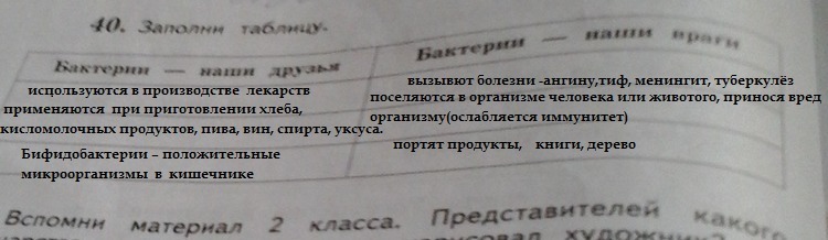 3 класс бактерии наши друзья – Бактерии – друзья и враги