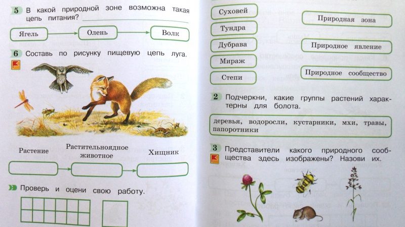 Окружающий мир 4 класс тестовые задания гармония – Тест по окружающему миру (4 класс) на тему: Тесты по окружающему миру 4 класс УМК «Гармония»