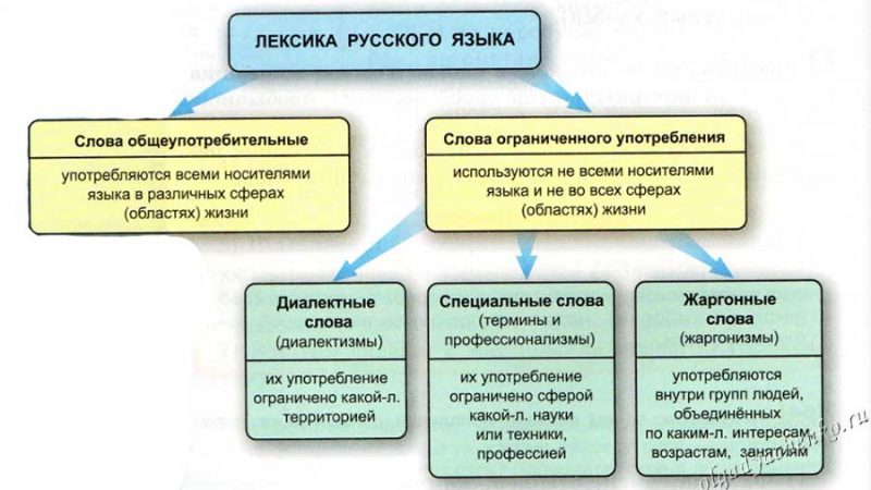 Предложения с диалектизмами 6 класс – Примеры диалектизмов в русском языке. Разработка урока 6 класс.