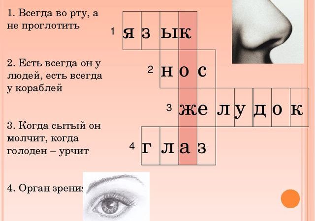 Презентация на тему значение кожи для организма – Презентация по Человек и мир » Кожа. Её значение для организма человека»