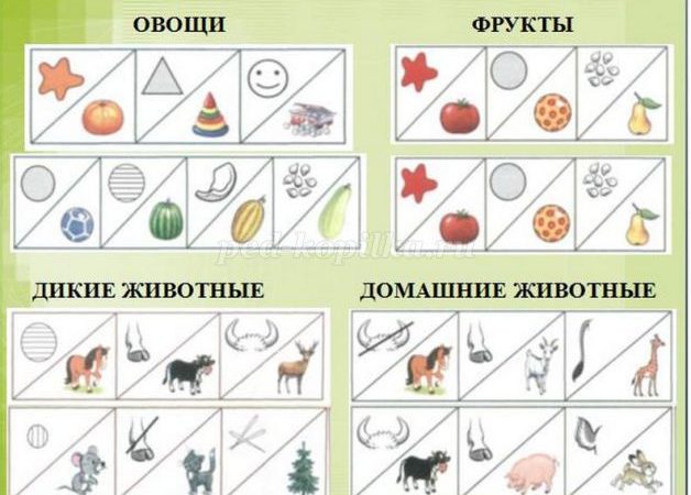 Удивительные предметы в подготовительной группе – . , — .