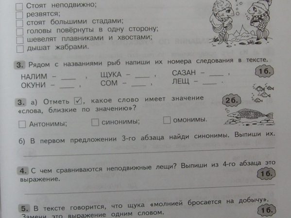 Входная контрольная работа 4 класс пнш – Входная контрольная работа по математике 4 класс УМК «ПНШ»