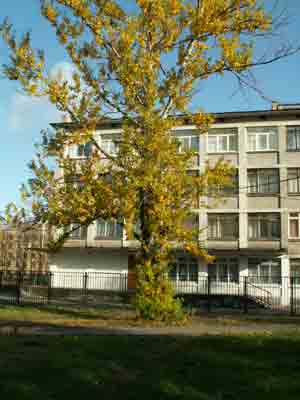 274 школа – Добро пожаловать