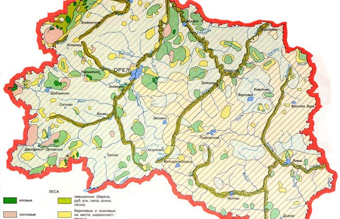 Карта лесов орловской области