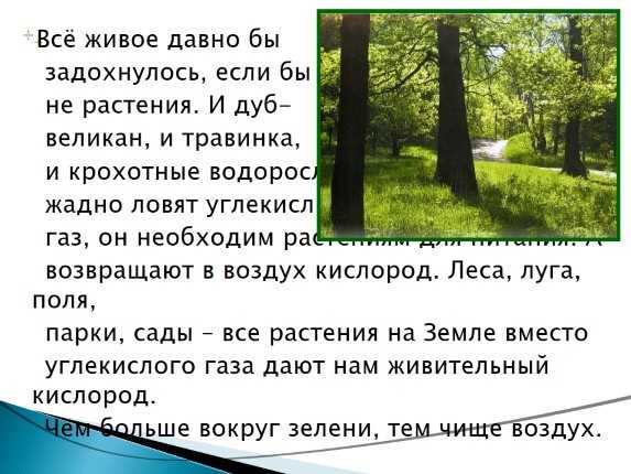 Про воздух презентация окружающий мир 2 класс плешаков