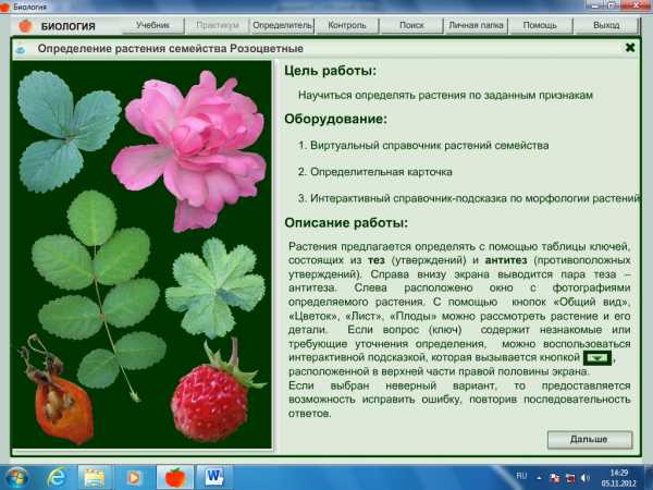 Программа для определения растений