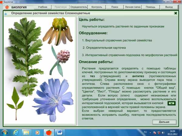 Определение растений. Практическая работа по биологии растения. Растения для лабораторной работы по биологии. Лабораторные работы с растениями. Практическая работа по биологии 5 класс.
